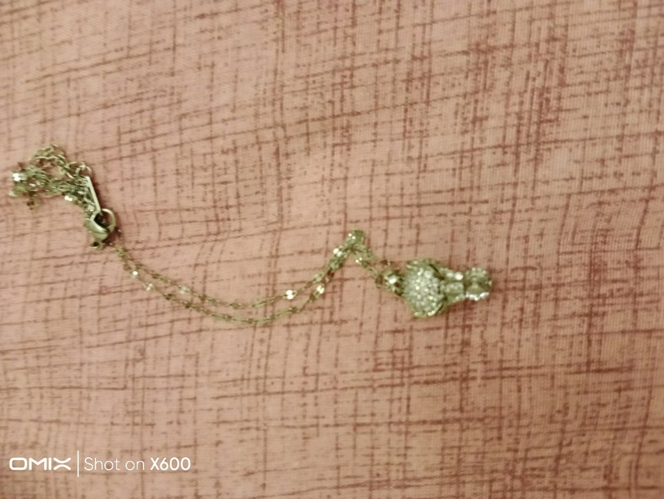 Uzun Zincirli Gümüş Kadın Kolye - Görsel 2