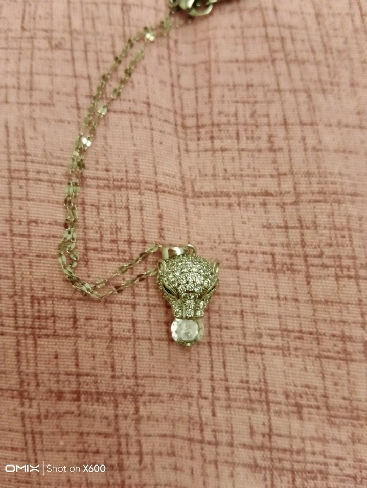 Uzun Zincirli Gümüş Kadın Kolye - Görsel 4