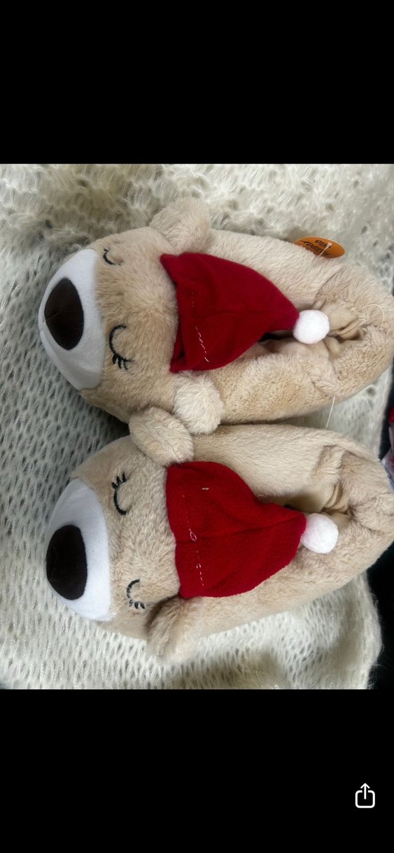 Sıcak Kahverengi Ev Terliği - Görsel 2