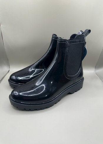 Igor 37