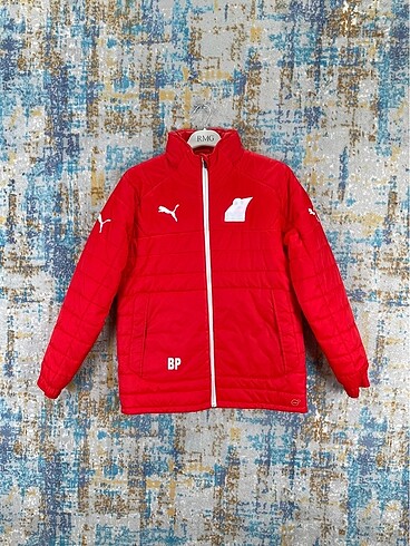 Puma mont
