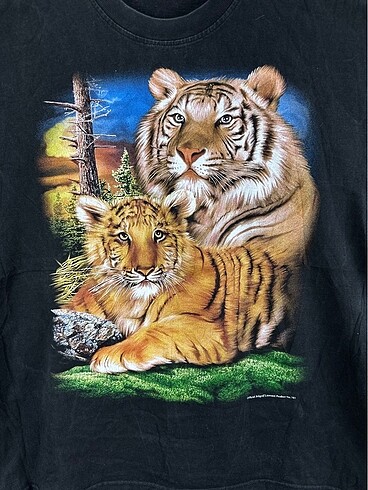 American Vintage Kaplan Vintage T shirt