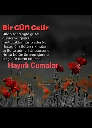 3lu kitap 
