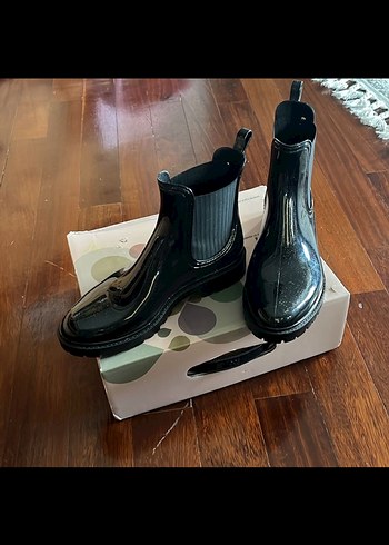Igor 38