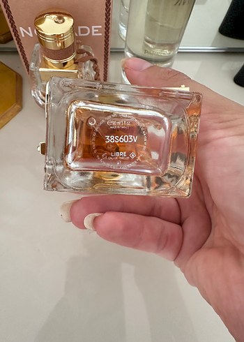 Beden Libre YSL