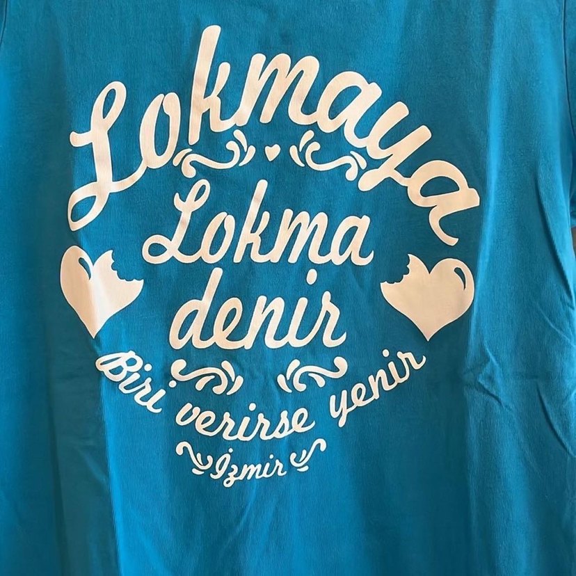 Mavi Baskılı Kısa Kollu Kadın Tişört - Görsel 3