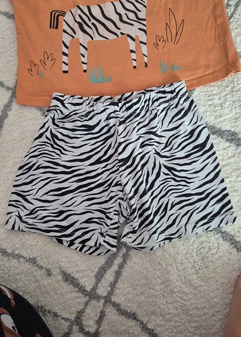 Kız Bebek Zebra Desenli Kısa Kollu Takım - Görsel 3