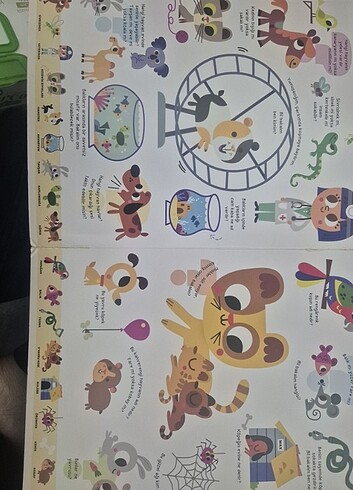Büyük sorular kitapları
