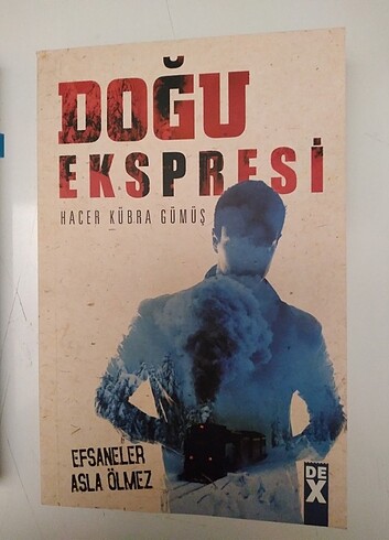 Doğu ekspresi