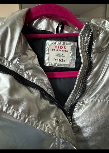 Gri Metalik Düğmeli Kadın Kışlık Mont - Görsel 5