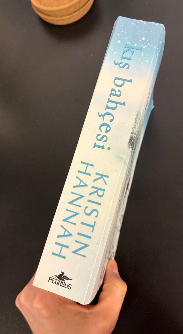 Kış Bahçesi - Kristin Hannah Roman - Görsel 2