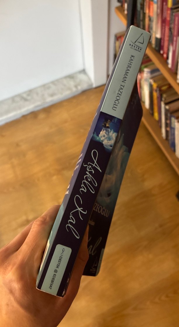 Aşkla Kal - Kahraman Tazeoğlu - Görsel 2