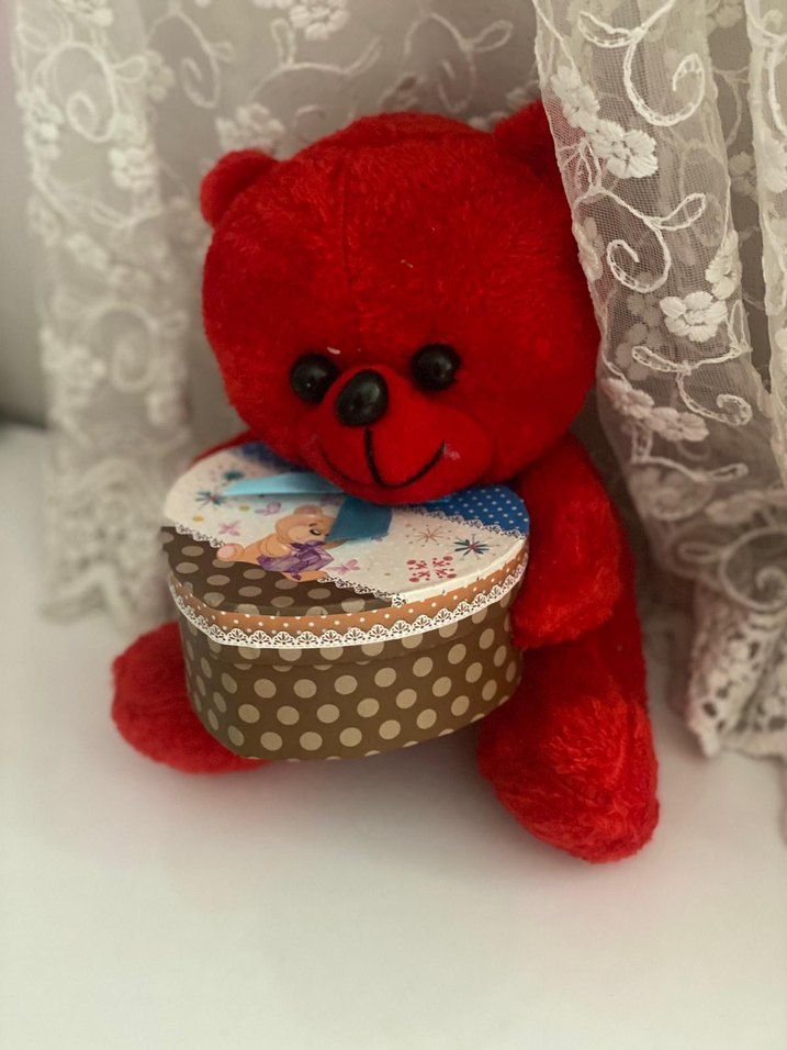 Kırmızı Peluş kalpli Ayıcık Oyuncak - Görsel 2