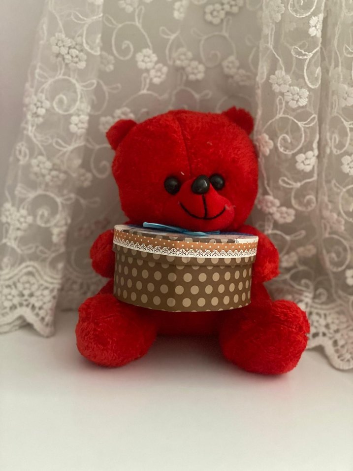 Kırmızı Peluş kalpli Ayıcık Oyuncak - Görsel 3