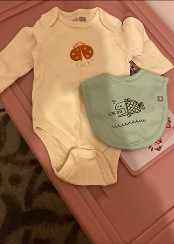 Uzun Kollu, Baskılı Bebek Badisi, Kahverengi
