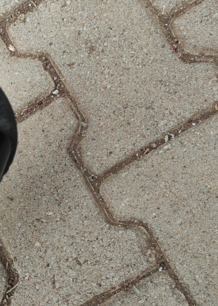 Kadın topuklu siyah dantel ayakkabı - Görsel 3