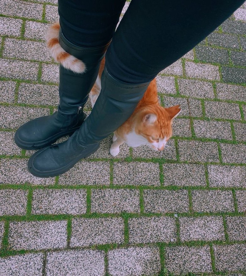 Siyah Dizüstü Çorap Çizme Pull and Bear - Görsel 4