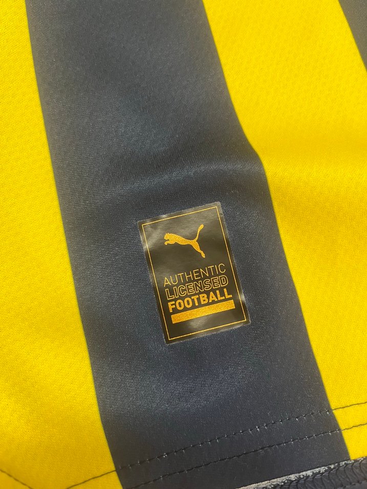 Fenerbahçe Puma V Yaka Forma — görsel 9/9