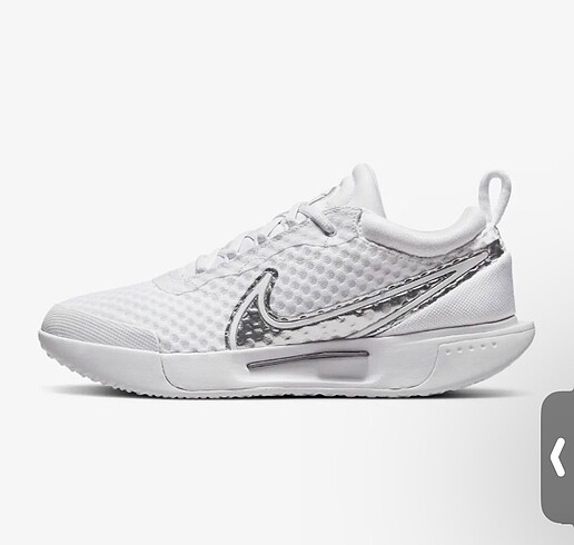 Nike court zoom pro