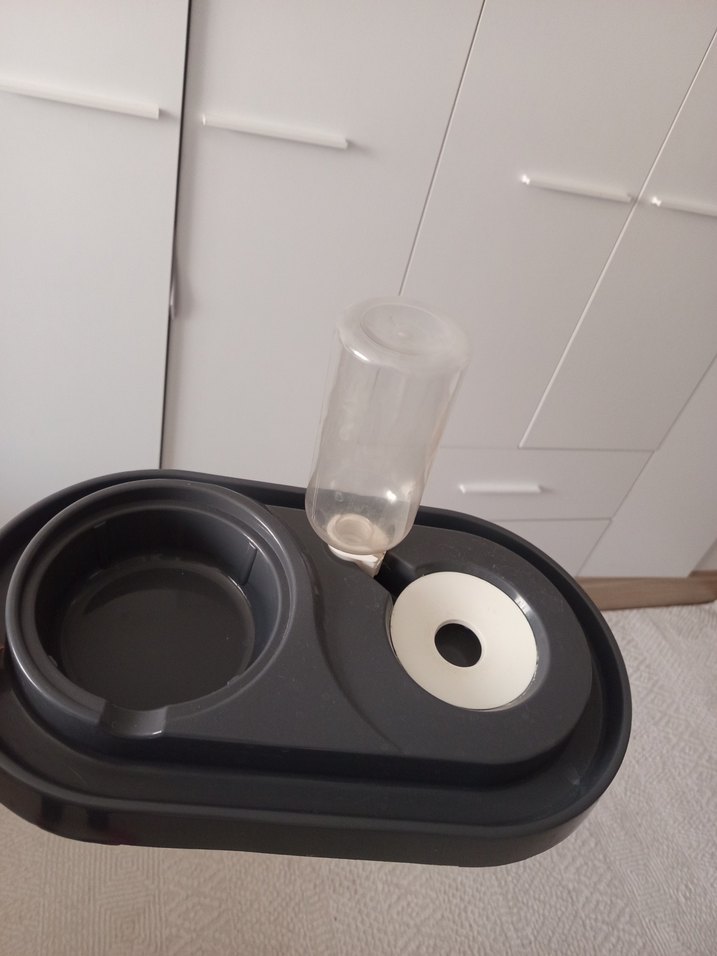 Gri Renkli kedi su ve mana kabı - Görsel 2