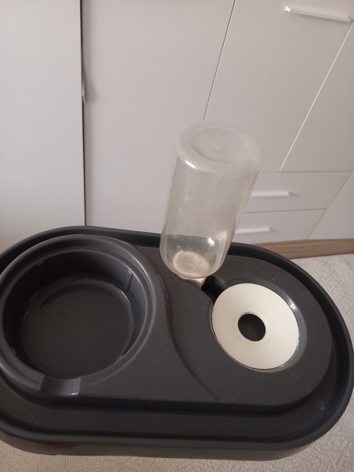 Gri Renkli kedi su ve mana kabı - Görsel 4