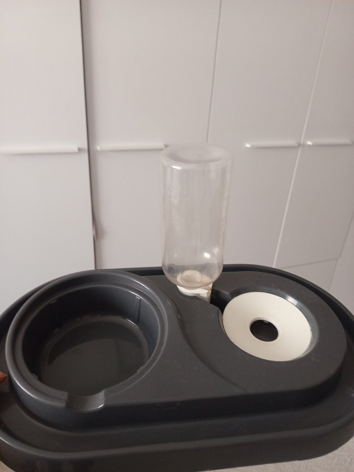 Gri Renkli kedi su ve mana kabı - Görsel 5