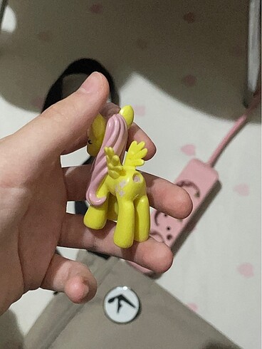  My little pony fluttershy