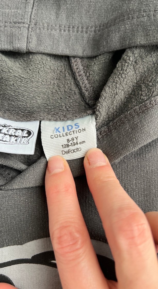 Kapüşonlu Gri Erkek Çocuk Sweatshirt - Görsel 3