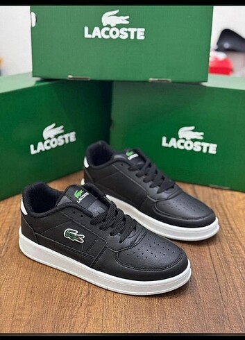 Lacoste Lacoste