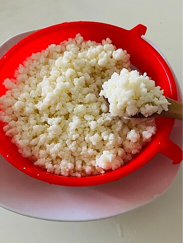 Kefir mayası 