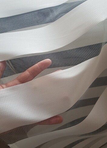 Diğer Zebra stor