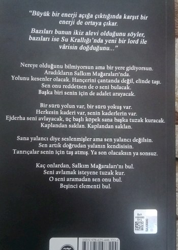 Hepimiz Gökyüzü Olmak İstedik - Lordlar ve Varisler - Görsel 2