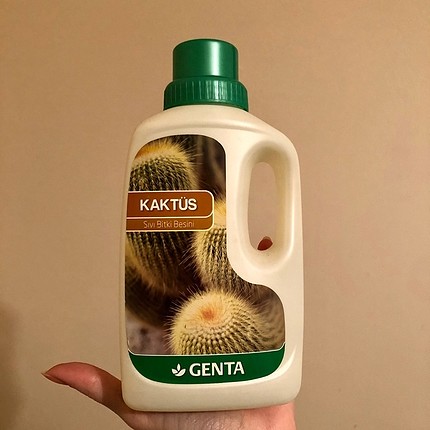 Kaktus besini