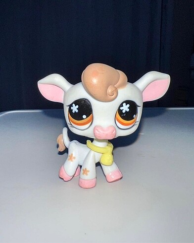 Lps miniş inek
