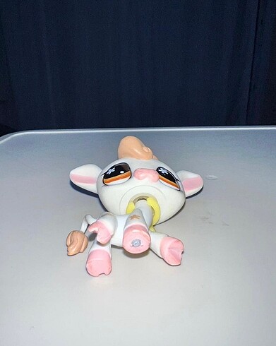  Lps miniş inek