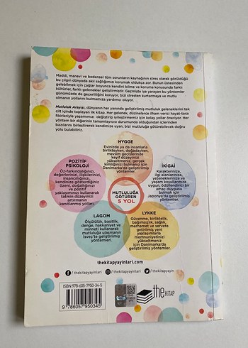 Mutluluk Arayışı - Mike Annesley - Görsel 2