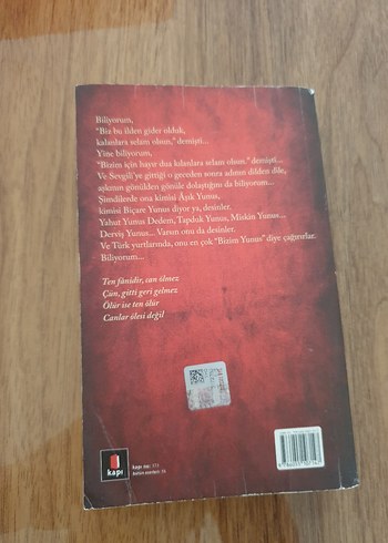 İskender Pala - Od Romanı