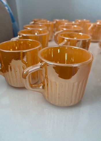 6lı bardak