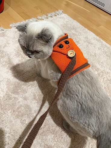 El yapımı kedi tasması - Görsel 2