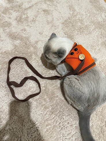 El yapımı kedi tasması - Görsel 3