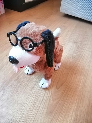 Sevimli köpek 