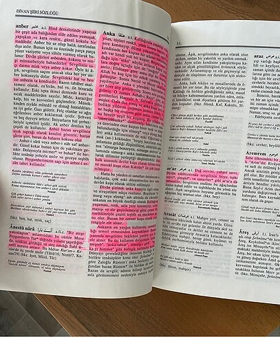 İskender Pala Divan Şiiri Sözlüğü - Görsel 3