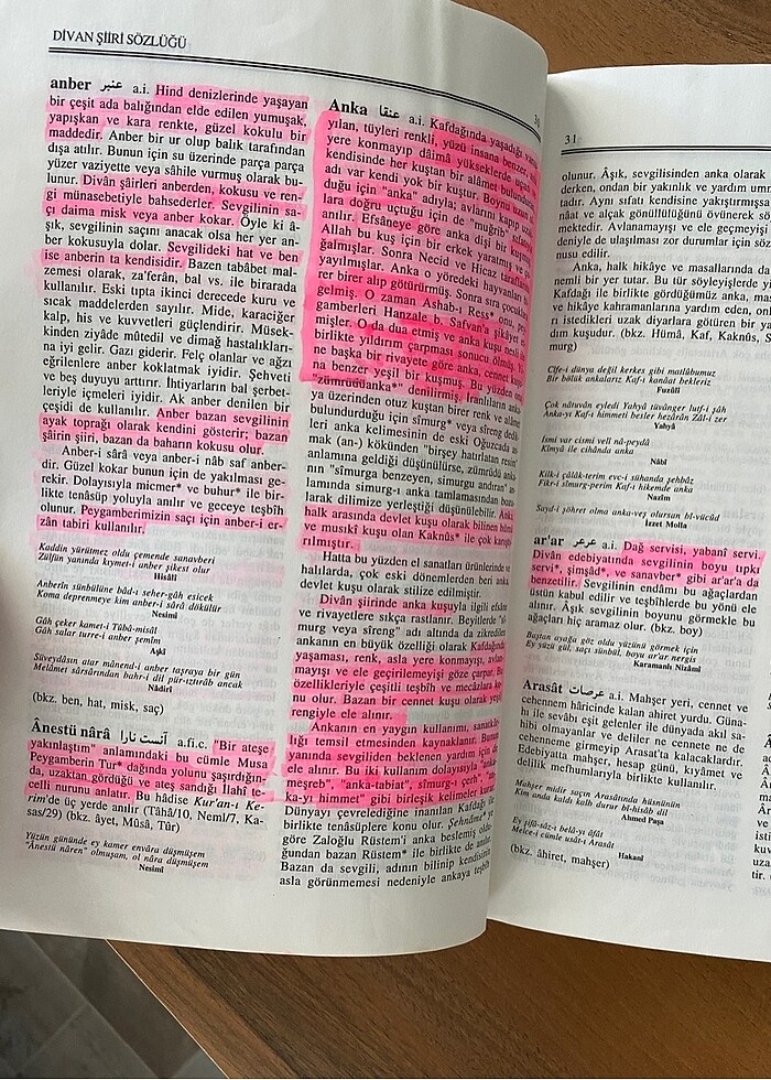 İskender Pala Divan Şiiri Sözlüğü - Görsel 3