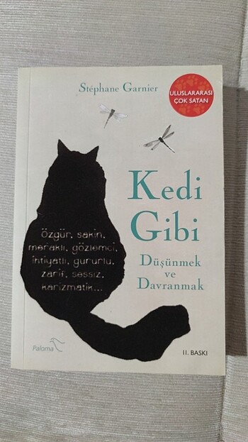 Kedi gibi düşünmek