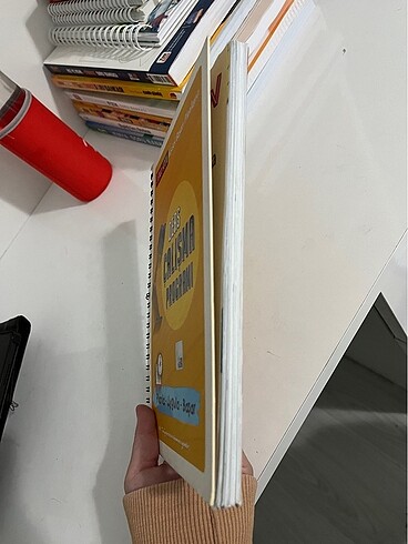 Şenol hoca ders çalışma programı/planlayıcı - Görsel 12