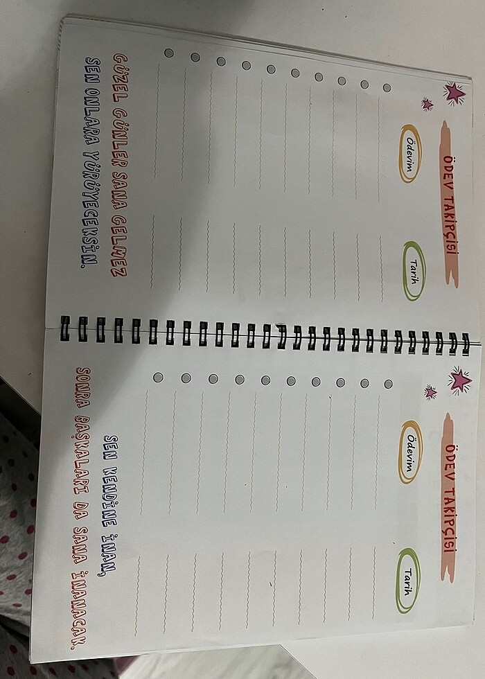 Şenol hoca ders çalışma programı/planlayıcı - Görsel 2