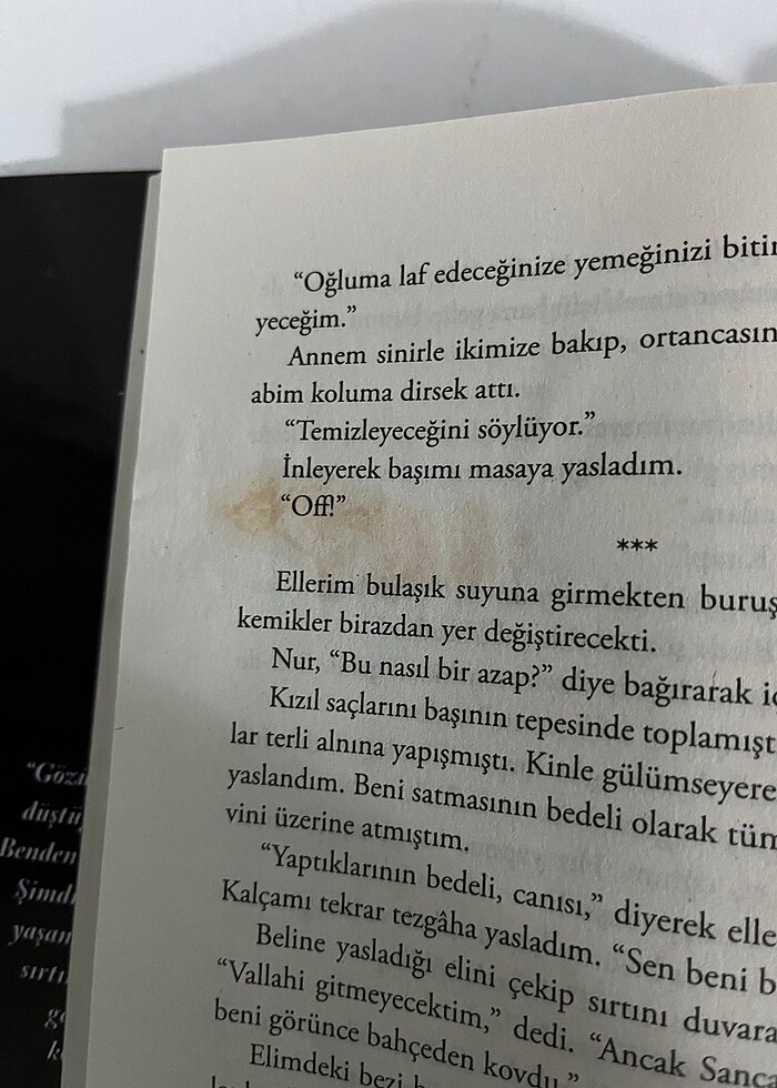 Kitap/ Hazal aba kızıltepe - Görsel 4