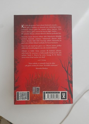  Dikenler ve Güller Sarayı - Sarah J. Maas