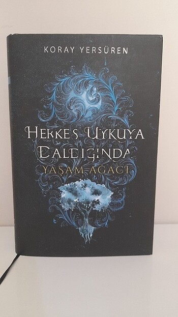 Herkes uykuya daldığında