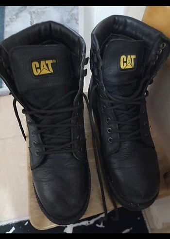 Erkek Cat bot - Görsel 3